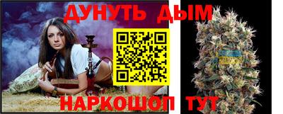 МДПВ Будённовск