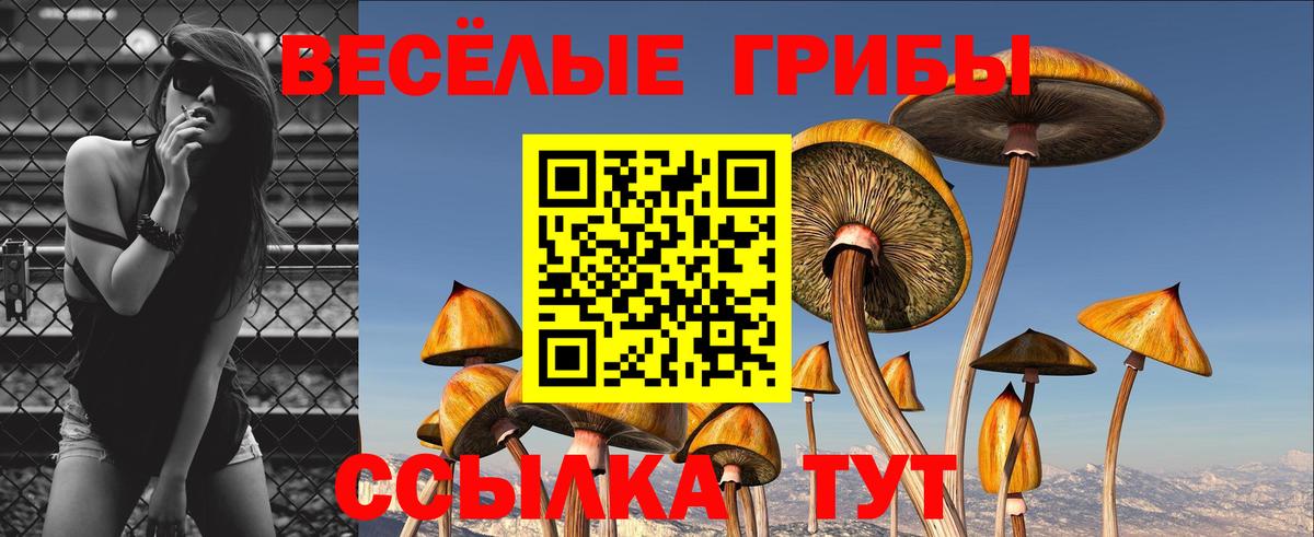 Галлюциногенные грибы GOLDEN TEACHER Королёв