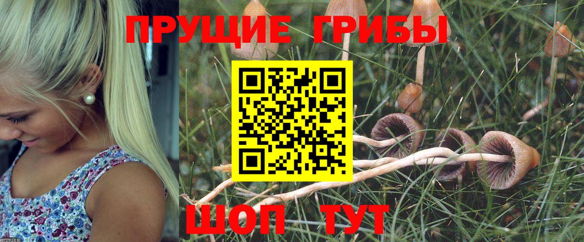 Галлюциногенные грибы мухоморы  Вход с VPN  Королёв  Псилоцибиновые грибы MAGIC MUSHROOMS 